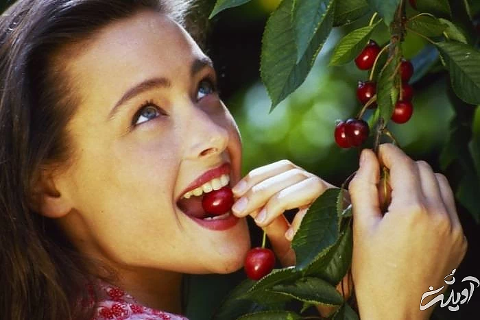 خواص آلبالو تازه